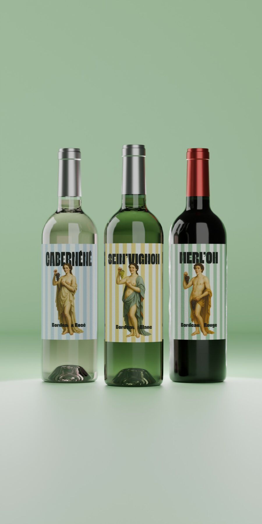 Coffret vin cadeau Bordeaux – Trois bouteilles humoristiques et qualitatives, parfaites pour un apéritif ou un cadeau original.